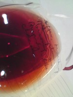 Looking thru’ the ’89 Lafite&nbsp;Rothschild