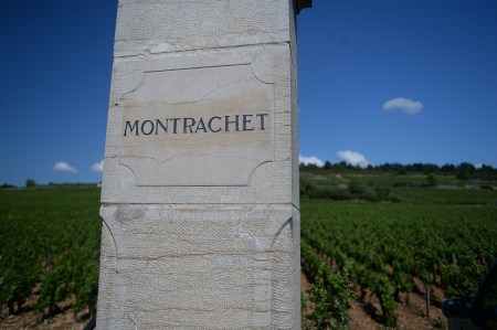 Montrachet