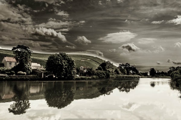Vignoble-de-Champagne
