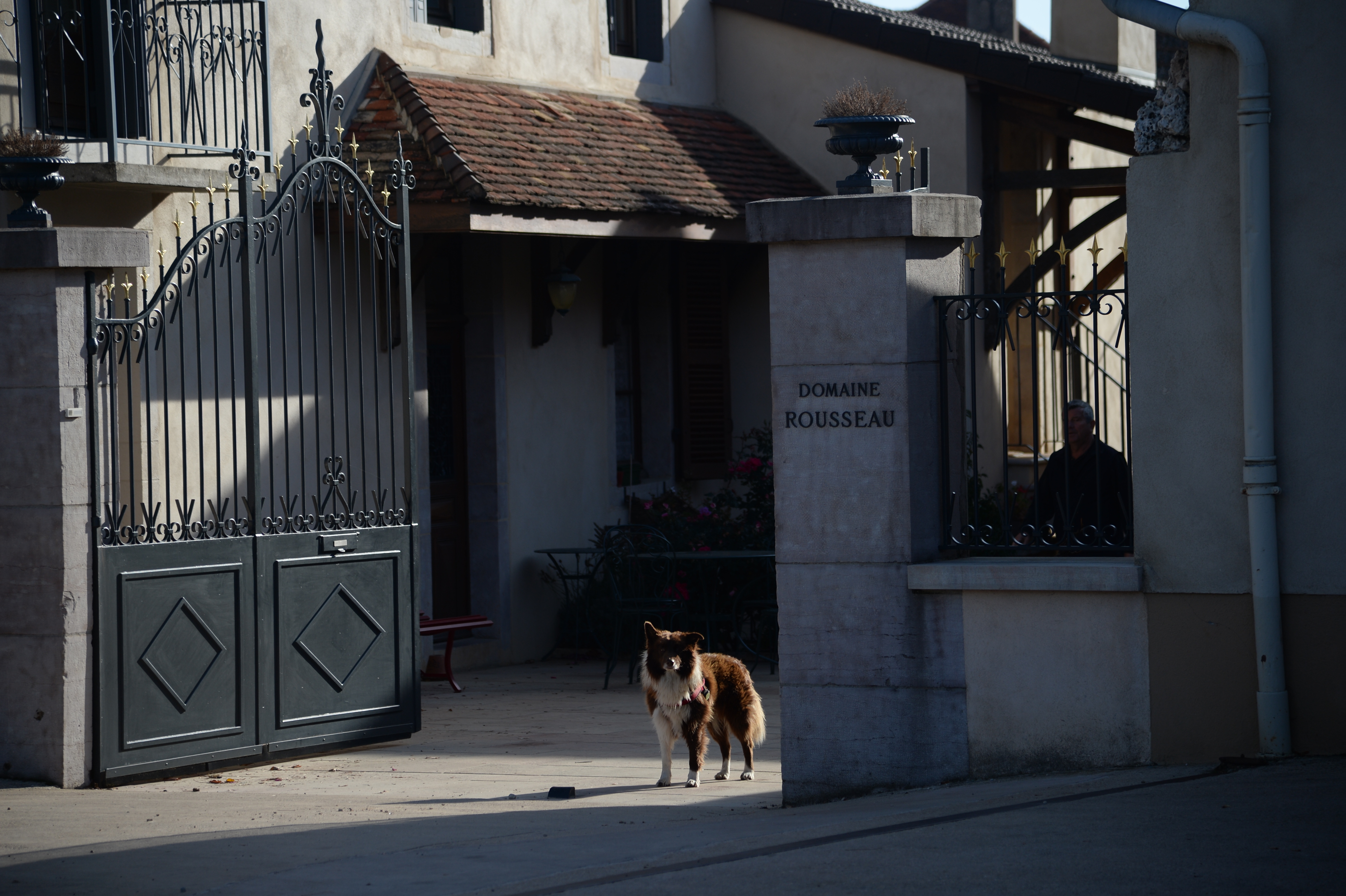 Ric arrives at Domaine Armand Rousseau | Ric's Wine Journal